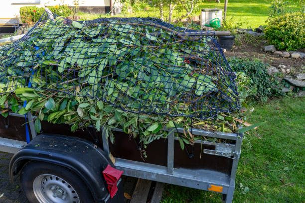 Best Carpet Removal and Disposal  in Mount Juliet, TN